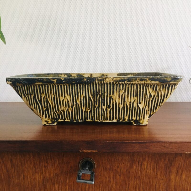 Vintage cactus pot
